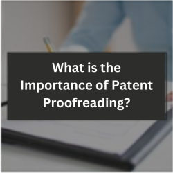 Importance of Patent Proofreading